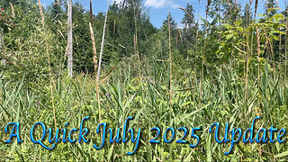 A Quick July 2025 Update