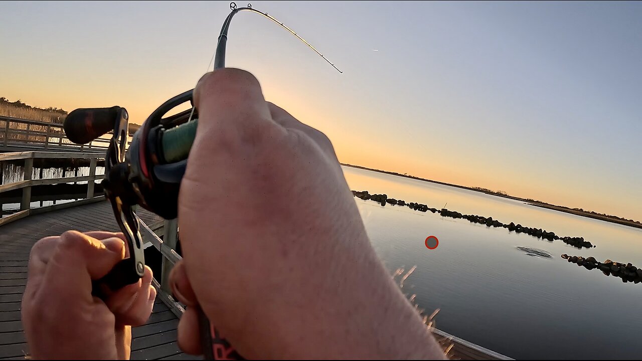 Winter Fishing Highlights