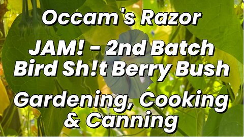 Jam! – 2nd Batch - Bird Sh!t Berry Bush - Occam’s Razor Gardening, Cooking & Canning