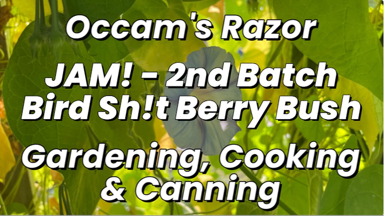 Jam! – 2nd Batch - Bird Sh!t Berry Bush - Occam’s Razor Gardening, Cooking & Canning