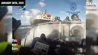 WATCH! Bizarre moment cops catch narco terrorists using COWS to smuggle drugs into Europe