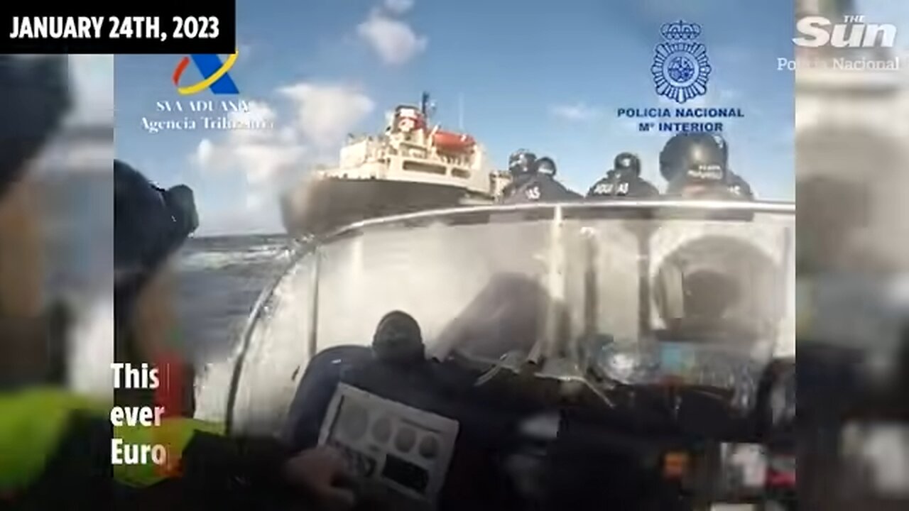 WATCH! Bizarre moment cops catch narco terrorists using COWS to smuggle drugs into Europe