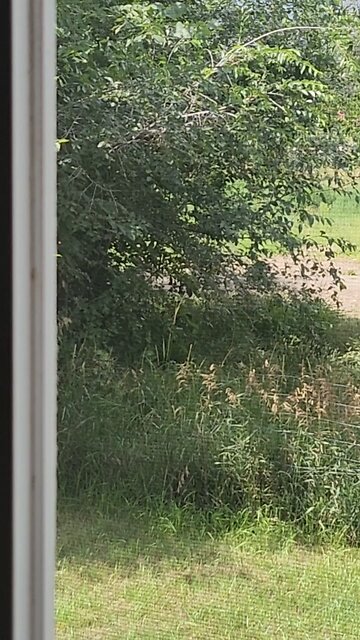 Trespassing Twice in an Hour