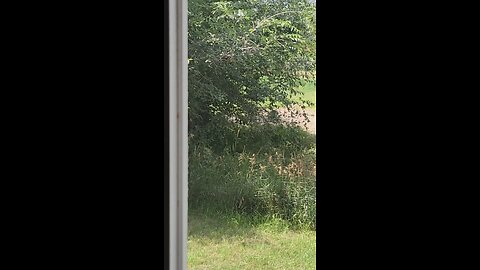 Trespassing Twice in an Hour