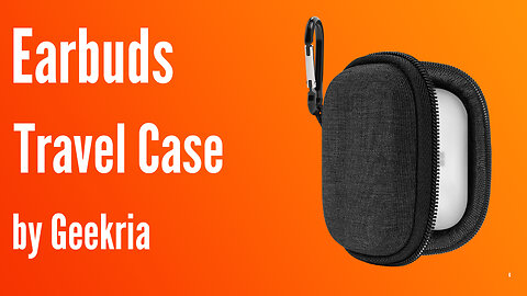 Earbuds Travel Case | Geekria