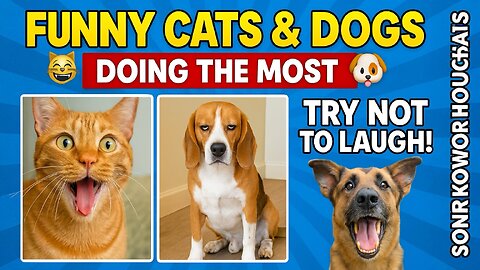 Funny Cats & Dogs Doing the Most 😹🐶 | Try Not to Laugh!