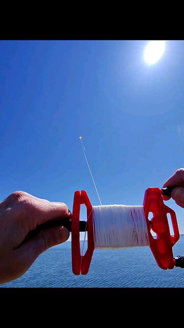 let your dreams take flight