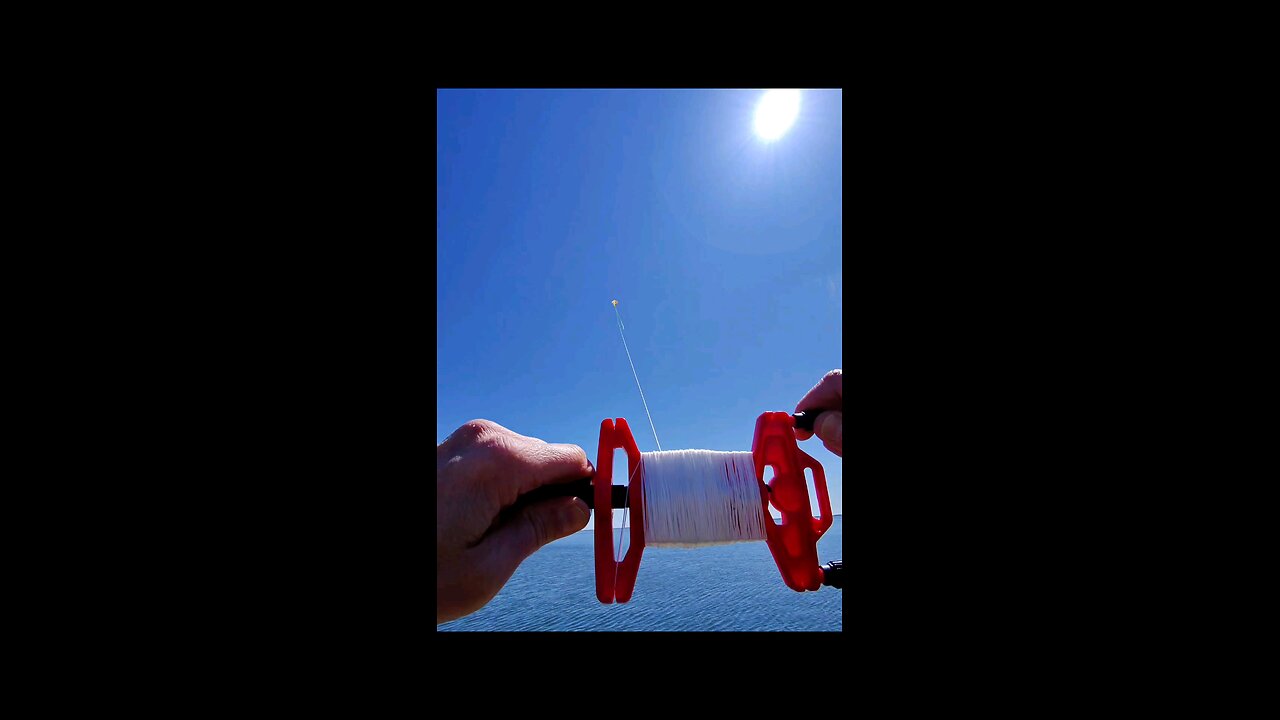 let your dreams take flight