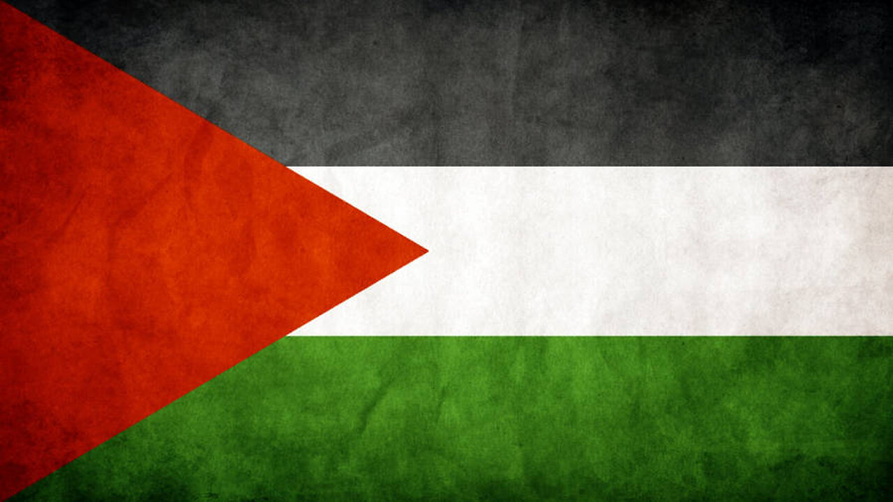 Latest #Palestine video