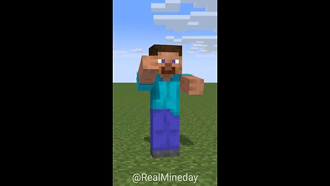 Minecraft Steve Microwave Edit