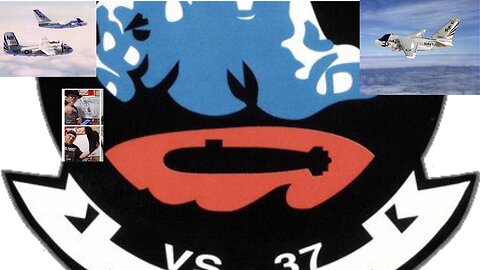Sea Control Squadron 37