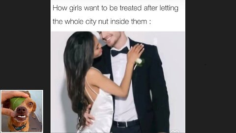 Memes That Will 99.0215% Make You Laugh. (e439)