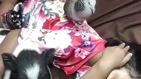 Very interesting video of kids 😎