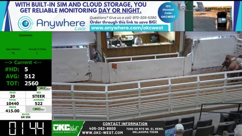 9/9/2025 - Calf & Stocker Auction - OKC West