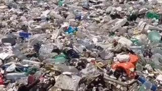 This is Asia. Where is Greta?