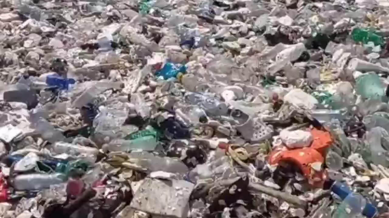 This is Asia. Where is Greta?