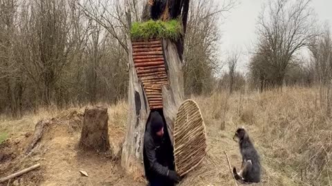 #bushcraft #survival #outdoors #solobushcraft #camping #solocamping