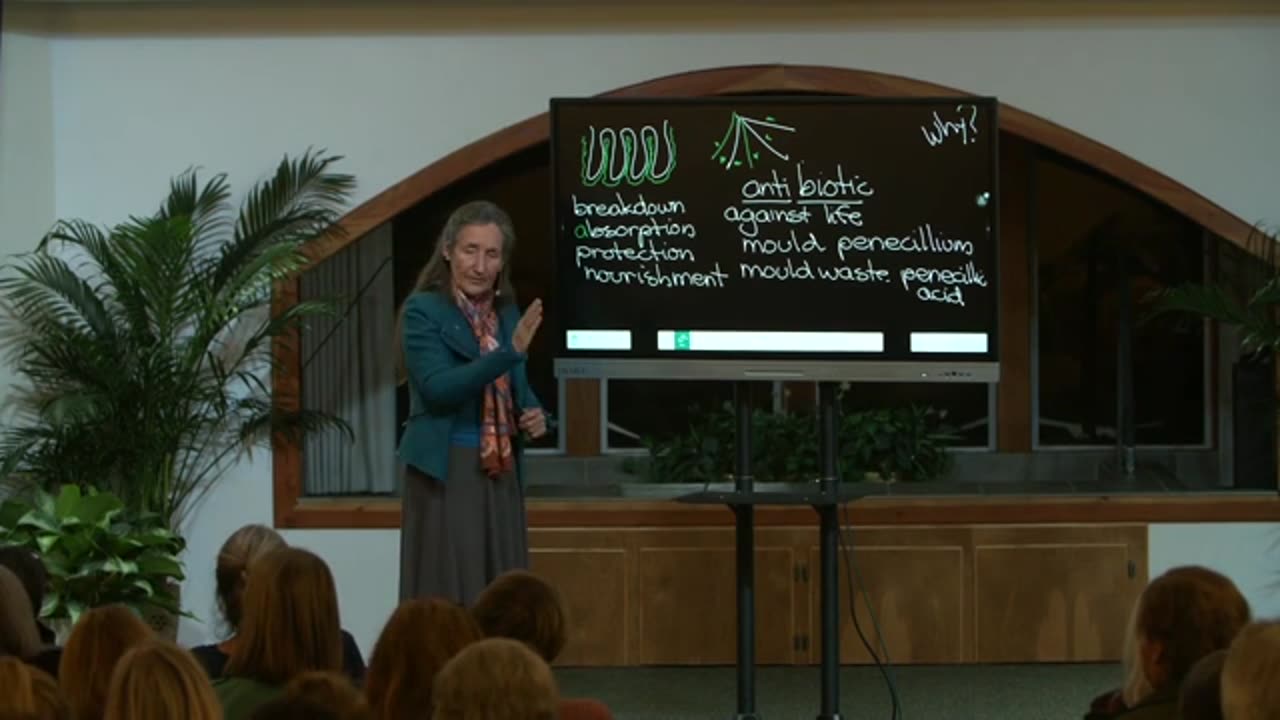 Barbara O’Nelle-Lecture 1 Conquering Candida Lecture -2 The Truth About Cancer