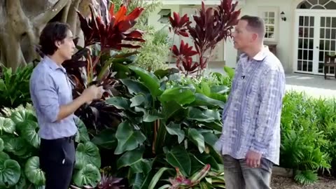 1.3 Million Women Misdiagnosed with Breast Cancer & Treated with Chemo, Radiation and Mastectomy