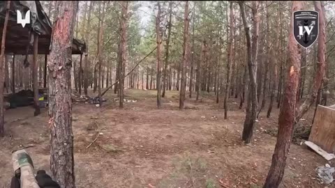 SSO conducts direct actions in the forests of Donetsk region.