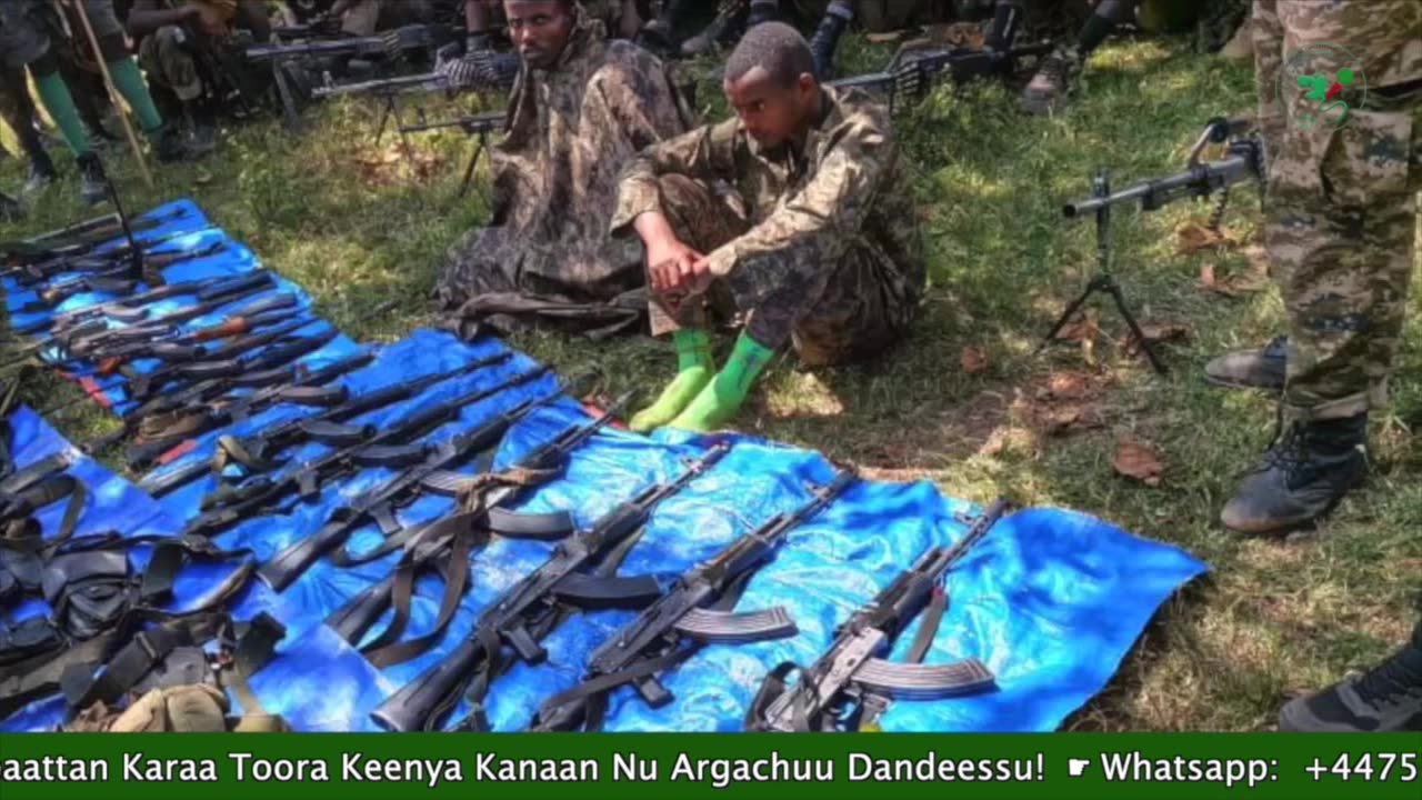 Gabaasa Ammee ONM-ABO Onkoloolessa 27-2025 itti dhyaadhaa!