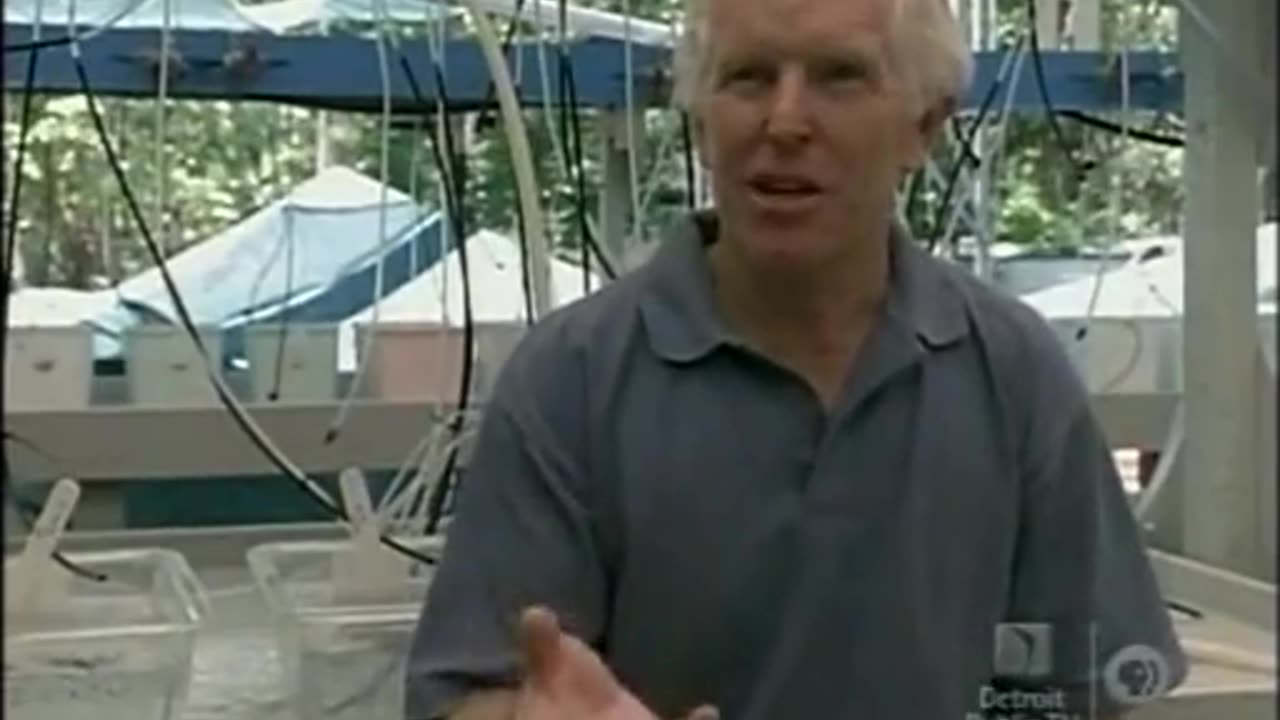 cultured pearl secrets