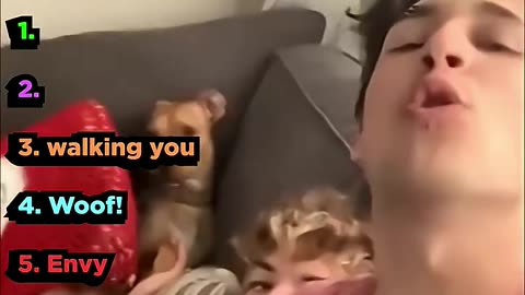 Ranking Funny ANIMAL Clips!😅😅😅