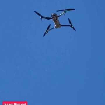 I$rael1 occupation forces disrupted the Pale$tinian olive harvest