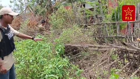 🚨🔥 Myanmar War | CPB-PLA Clips from the Battle of Kant Daunt | RCF