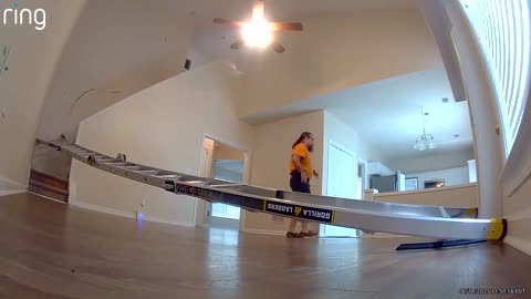 Ring Cam Captures Contractor Slips and Slides Down Stair Railing Like a Human Log