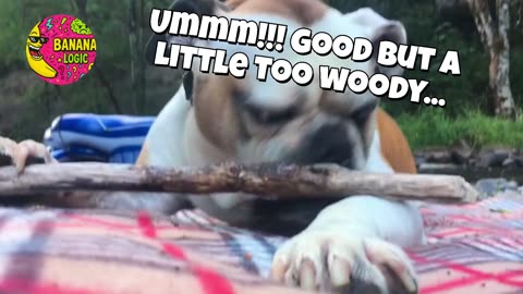 Ummm!!! Good but a little too woody...