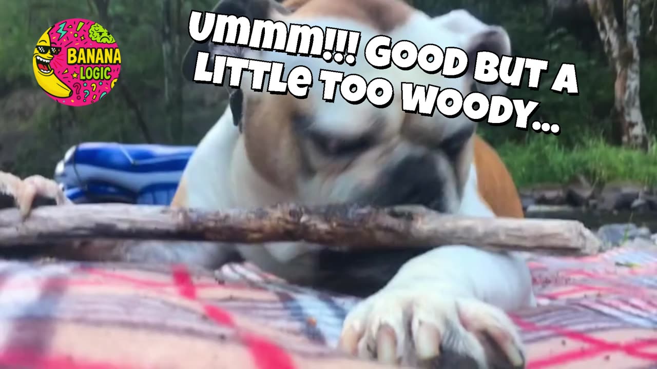 Ummm!!! Good but a little too woody...