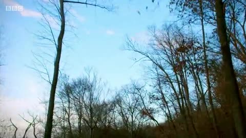 Secrets of The Masons