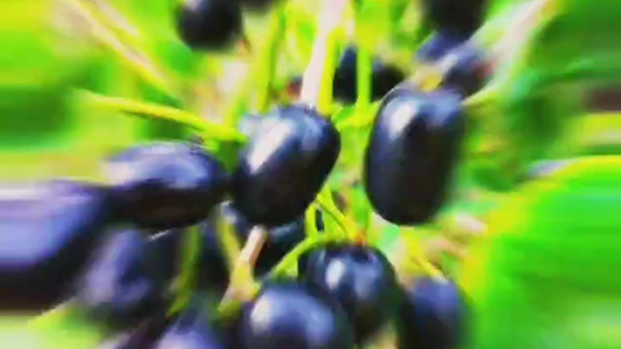 #Asali Sukun To Gaon Mein Hi #Hai 👌👌🫡🫡