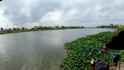 Gar Fly Fishing in River Backwaters