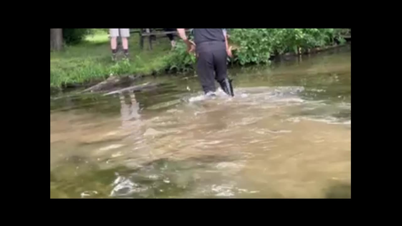 Toothy CRITTER Surprise