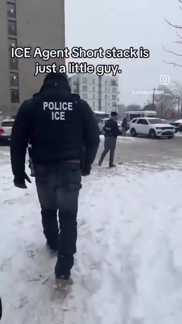 This video of ICE is going to make you all feel better this Sunday night!