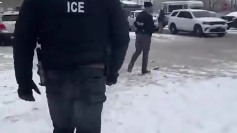 This video of ICE is going to make you all feel better this Sunday night!