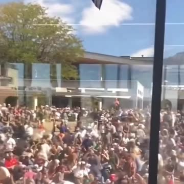 Charlie Kirk shooter on rooftop