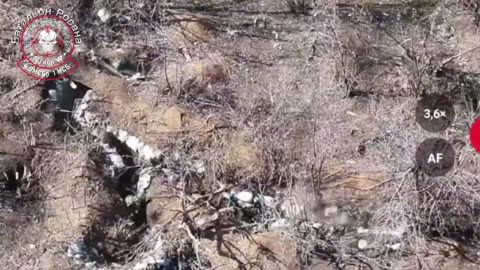 War in ukraine