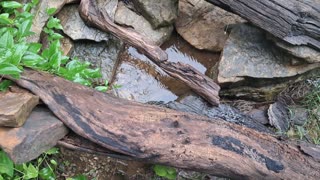 WATCHING WATER - PLAY SESSION #3