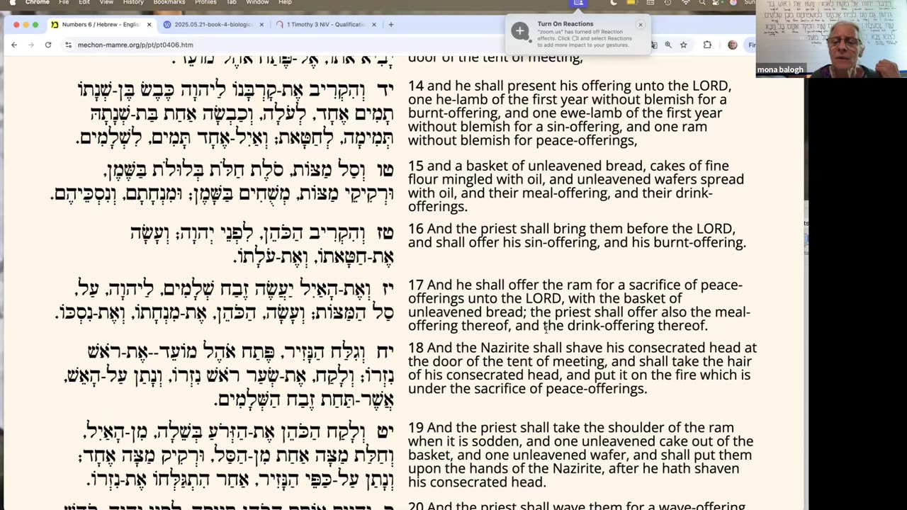 Parasha Nasso: Numbers 4:21-7:89