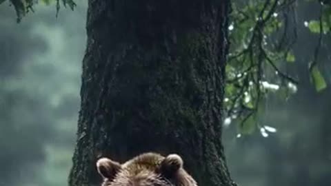 Heart-Melting! 🌧️ Mama Bear Shields Her Cub in a Rainy Hug You’ll Never Forget!