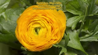 IN the World, but not OF it! ~ Saturday, May 24, 2025 Numerology @ a Glance