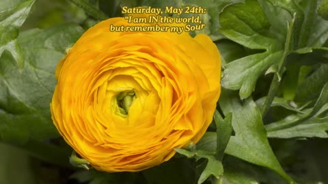 IN the World, but not OF it! ~ Saturday, May 24, 2025 Numerology @ a Glance