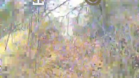 🚁⚔️ Ukraine Russia War | Sky Fury Unit Strikes Russian Soldiers with FPV Drones | RCF