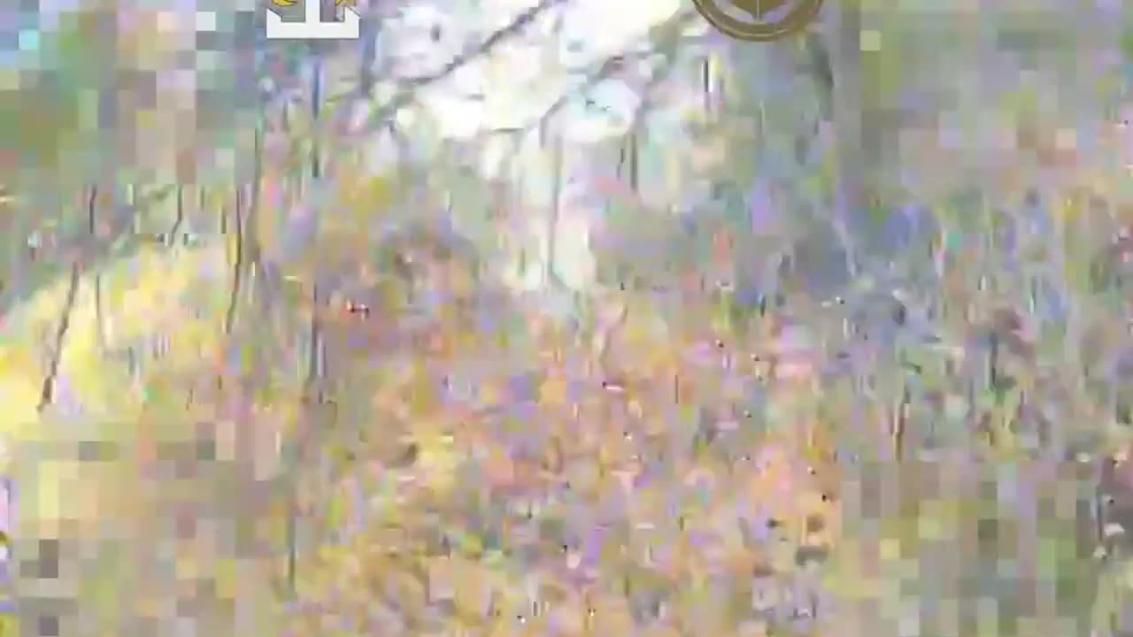 🚁⚔️ Ukraine Russia War | Sky Fury Unit Strikes Russian Soldiers with FPV Drones | RCF