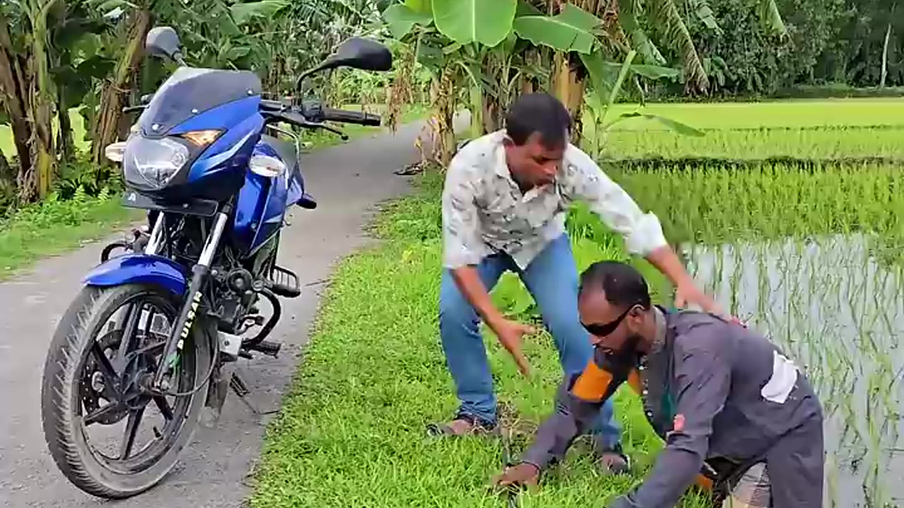 Funny Video (Follow My Channel)