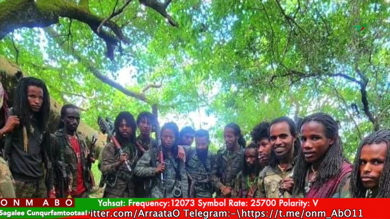 Gabaasa Tarkaanfii ONM-ABO Ebla 3-2024 itti dhiyaadhaa!