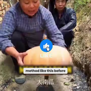 Grandma's Secret Pumpkin Rice Recipe – You've Never Tasted Anything Like This!